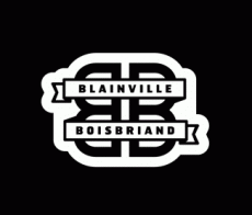 Blainville-Boisbriand Armada 2011 12-Pres Secondary Logo heat sticker