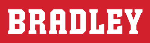 Bradley Braves 2012-Pres Wordmark Logo 02 heat sticker