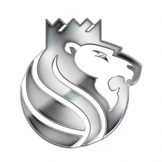 Sacramento Kings Silver Logo heat sticker