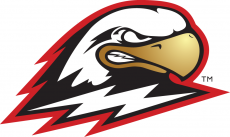 Southern Utah Thunderbirds 2002-Pres Secondary Logo custom vinyl decal