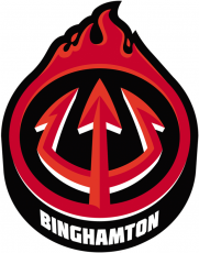 Binghamton Devils 2017-Pres Alternate Logo heat sticker