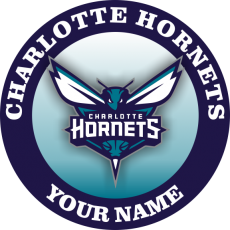 Charlotte Hornets Customized Logo heat sticker