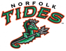 Norfolk Tides 2016-Pres Alternate Logo heat sticker