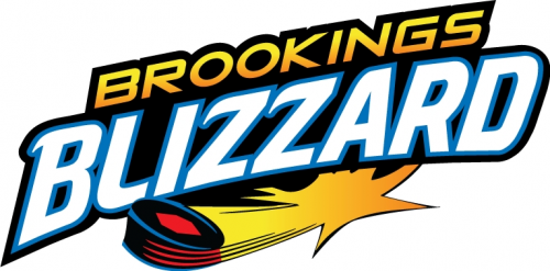 Brookings Blizzard 2012 13-Pres Wordmark Logo custom vinyl decal