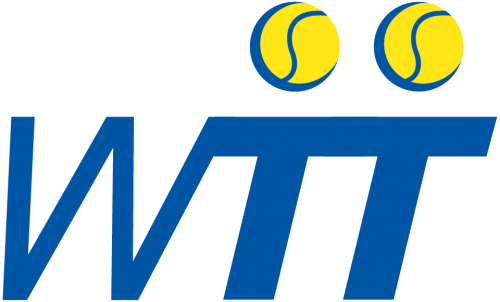 World TeamTennis 2010-2012 Primary Logo heat sticker