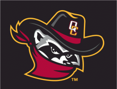 Quad Cities River Bandits 2008-2010 Cap Logo heat sticker