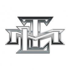 Toronto Maple Leaves Silver Logo heat sticker