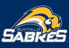 Buffalo Sabres 2006 07-2009 10 Wordmark Logo heat sticker