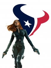 Houston Texans Black Widow Logo heat sticker