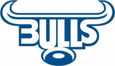 Bulls 1997-Pres Primary Logo heat sticker