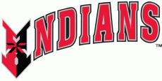 Indianapolis Indians 1998-Pres Wordmark Logo heat sticker