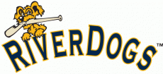 Charleston Riverdogs 2011-2015 Wordmark Logo heat sticker