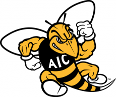 AIC Yellow Jackets 2009-Pres Primary Logo custom vinyl decal