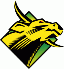 South Florida Bulls 1997-2002 Primary Logo custom vinyl decal