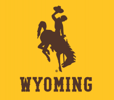 Wyoming Cowboys 2013-Pres Alternate Logo 02 heat sticker