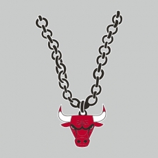 Chicago Bulls Necklace logo heat sticker
