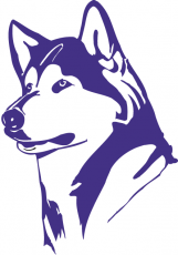 Washington Huskies 1995-2000 Partial Logo heat sticker