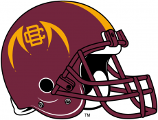 Bethune-Cookman Wildcats 2010-2015 Helmet Logo 02 heat sticker