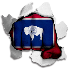 Fist Wyoming State Flag Logo heat sticker