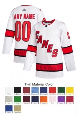 Carolina Hurricanes Custom Letter and Number Kits for Away Jersey 03 Material Twill