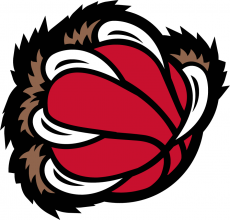 Memphis Grizzlies 2001-2003 Alternate Logo 2 heat sticker