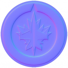 Winnipeg Jets Colorful Embossed Logo heat sticker