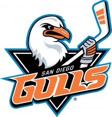 San Diego Gulls 2015 16-Pres Primary Logo heat sticker