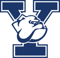 Yale Bulldogs 1998-Pres Primary Logo custom vinyl decal