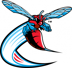 Delaware State Hornets 2004-Pres Alternate Logo 03 custom vinyl decal