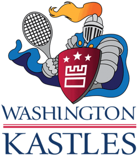 Washington Kastles 2008 Primary Logo heat sticker