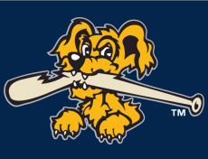 Charleston Riverdogs 2011-2015 Cap Logo 2 heat sticker