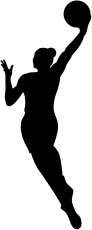 WNBA 2020-Pres Alternate Logo heat sticker