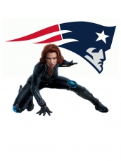 New England Patriots Black Widow Logo heat sticker
