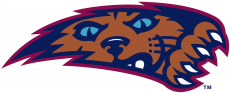 Villanova Wildcats 1996-2003 Alternate Logo 04 heat sticker