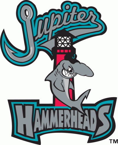 Jupiter Hammerheads 2003-Pres Primary Logo heat sticker
