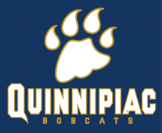 Quinnipiac Bobcats 2002-2018 Wordmark Logo heat sticker