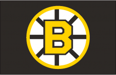 Boston Bruins 1955 56-1994 95 Jersey Logo heat sticker