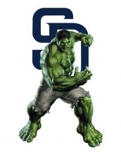 San Diego Padres Hulk Logo heat sticker