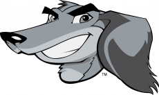 Southern Illinois Salukis 2006-2018 Mascot Logo 05 custom vinyl decal
