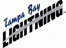 Tampa Bay Lightning 2001 02-2006 07 Wordmark Logo heat sticker