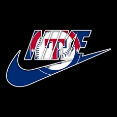 Texas Rangers Nike logo heat sticker