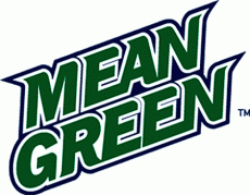 North Texas Mean Green 2003-2004 Wordmark Logo custom vinyl decal