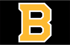 Boston Bruins 2019 20-Pres Jersey Logo heat sticker