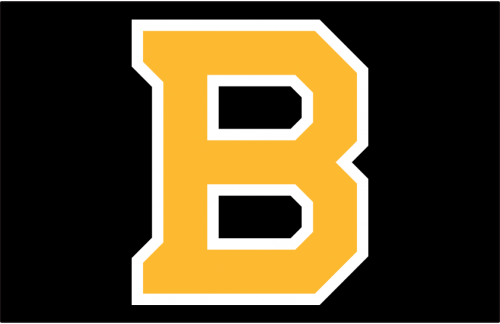 Boston Bruins 2019 20-Pres Jersey Logo heat sticker