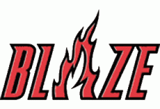 Portland Trail Blazers 2002-2016 Misc Logo heat sticker