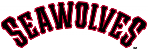 Erie SeaWolves 2013-Pres Wordmark Logo heat sticker