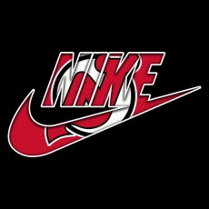 New Jersey Devils Nike logo heat sticker