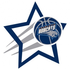 Charlotte Bobcats Basketball Goal Star logo heat sticker