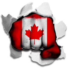 Fist Canada Flag Logo custom vinyl decal