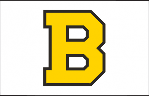 Boston Bruins 1940 41-1947 48 Jersey Logo heat sticker